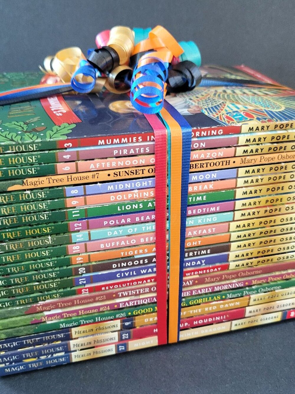 MAGIC TREE HOUSE AND MERLIN MISSIONS LOT OF 20 BOOKS SCHOLASTIC FOR BOYS & GIRLS